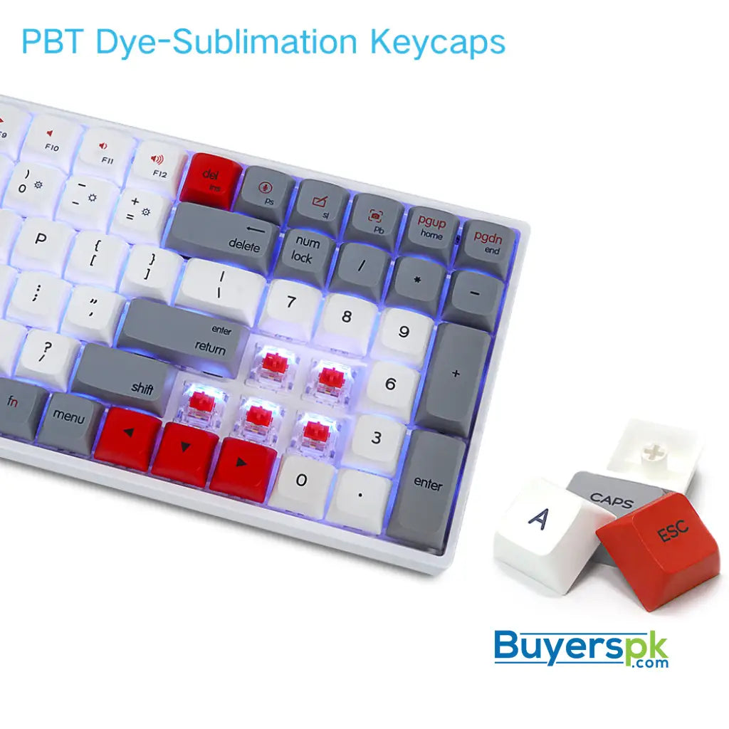 Sk96s Retro (pbt Keycaps) Switches: Red - gaming keyboard Price in Pakistan