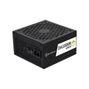 SilverStone Power Supply DA1000R 1000 Watt 80+ Gold
