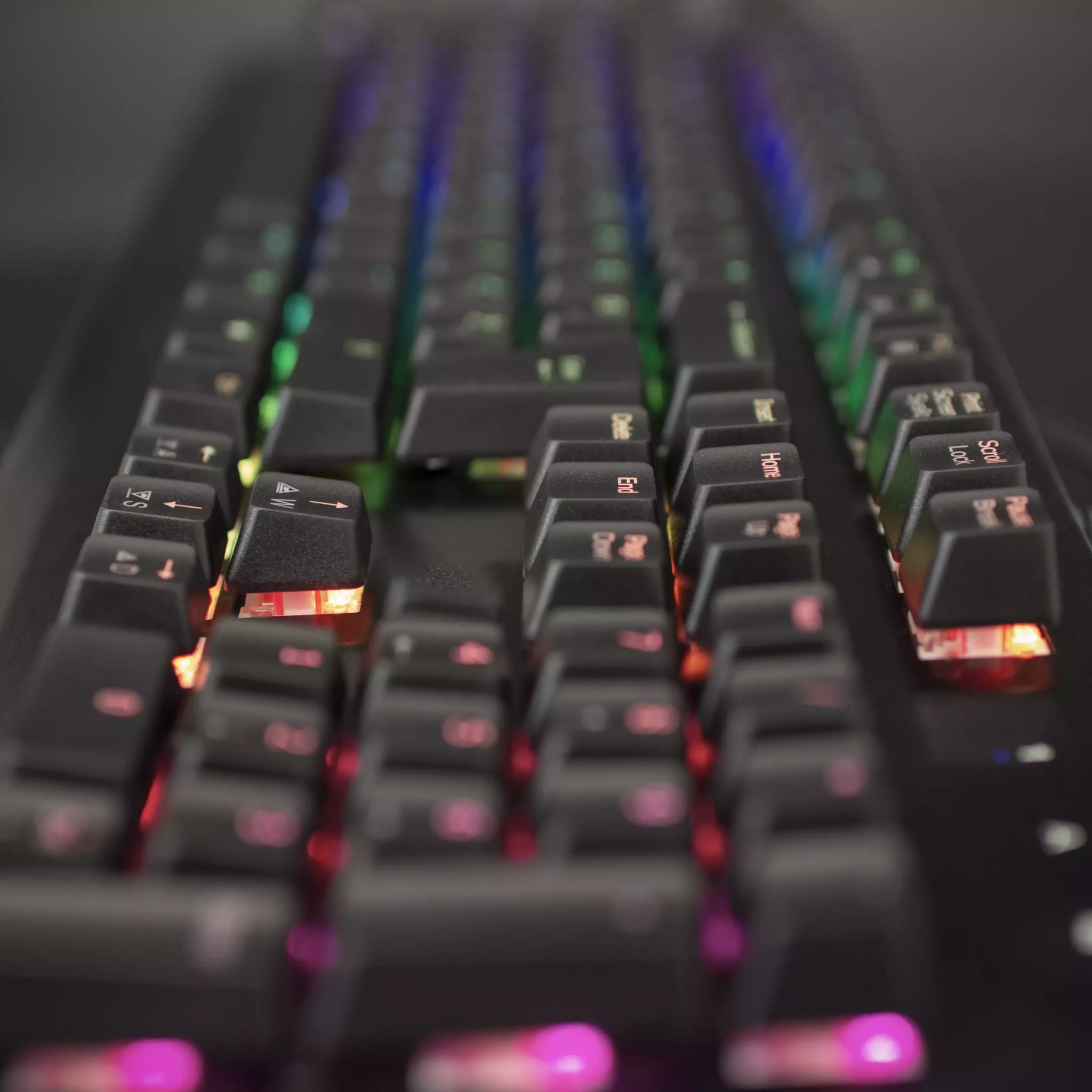 Avalon Keyboard stronghold RGB Gaming Mechanical Blue Switches
