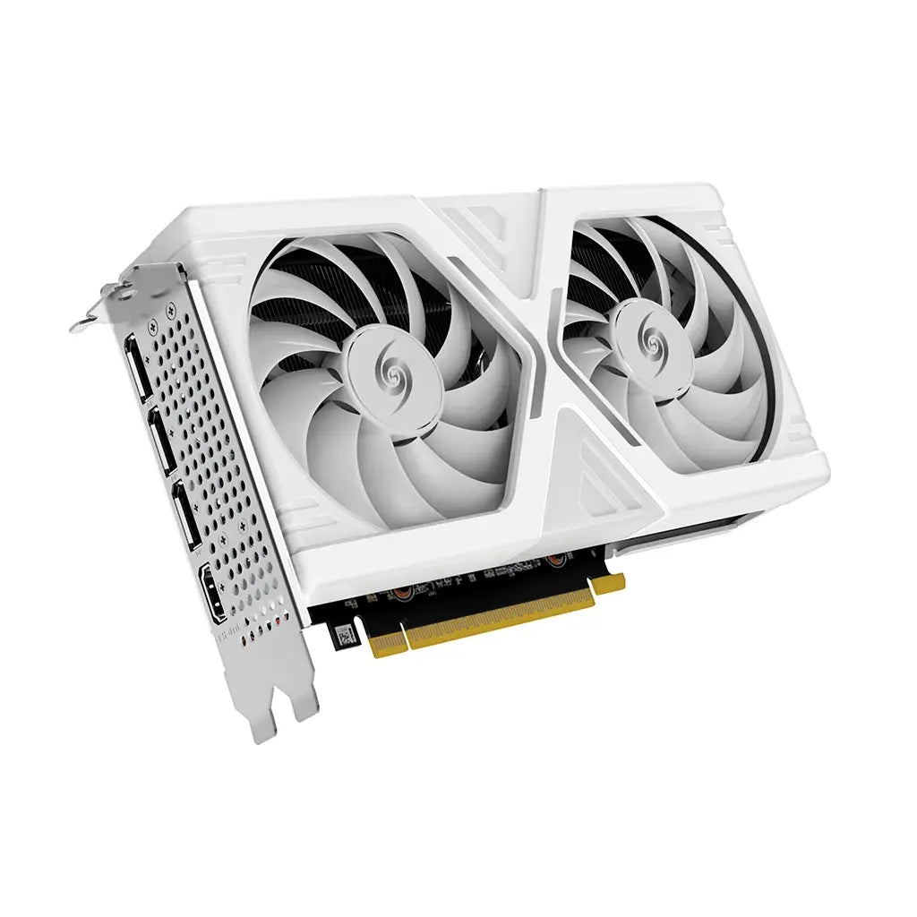 Leadtek Graphic Card WinFast GeForce RTX 5060 Hurricane 8GB